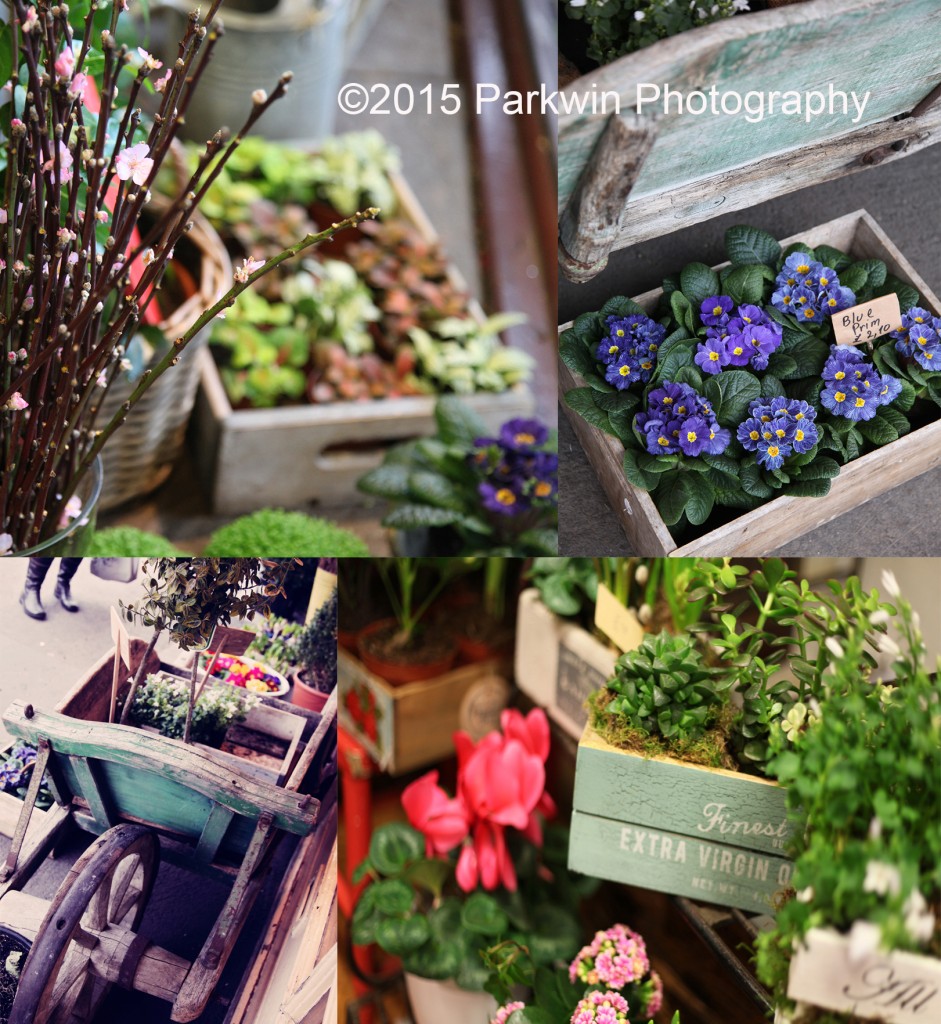 The Flower Shop Bushey display